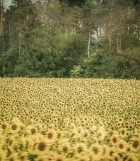 Kaart Moeiteloosheid Vaarroute