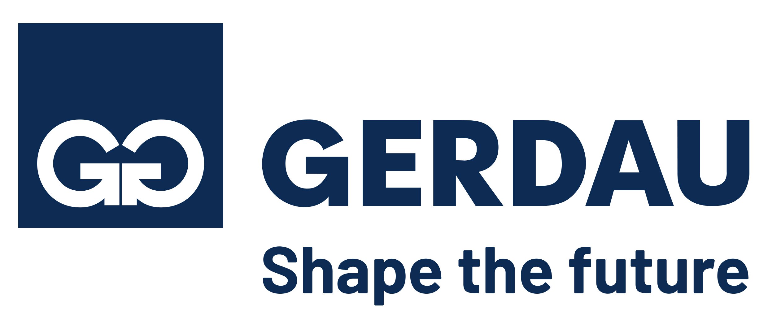 Gerdau Shape the future horizontal.jpg