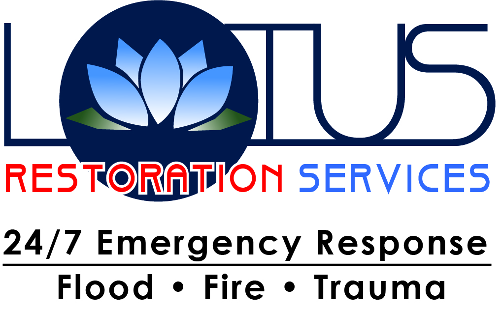 Lotus Restoration Services