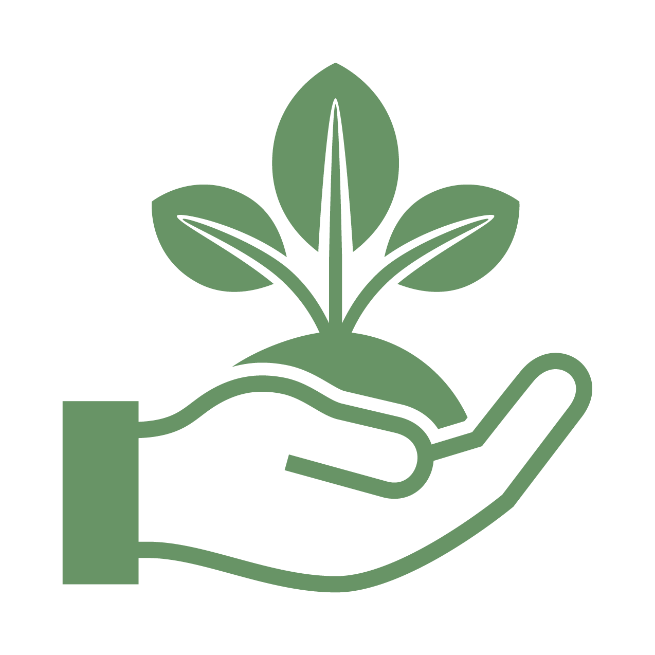 veg icon