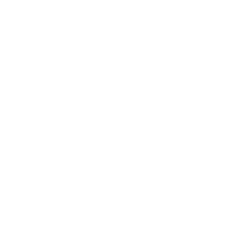 Program Icon