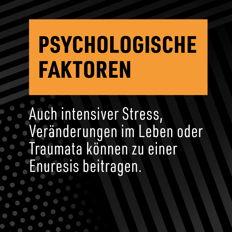Psychologische Faktoren: Auch intensiver Stress, Veränderungen im Leben oder Traumata können zu einer Enuresis beitragen.