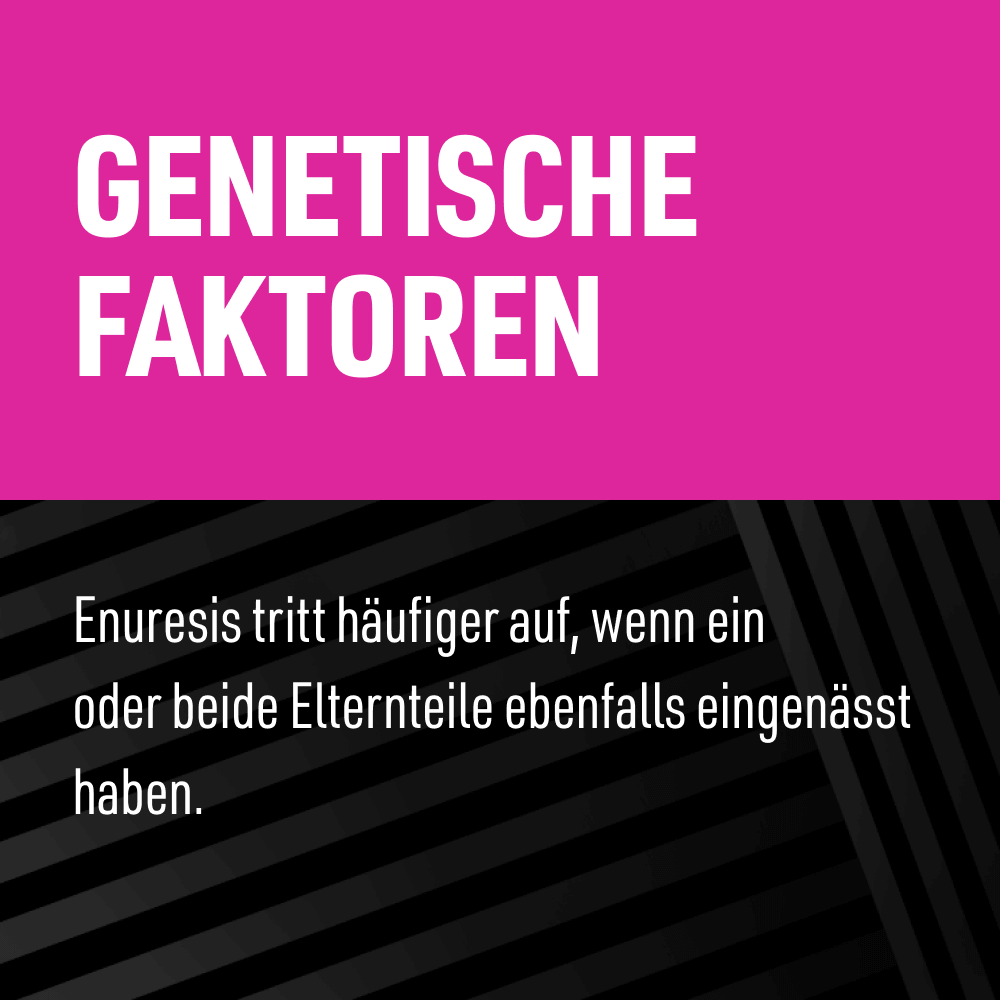 Gentische Faktoren: Enuresis tritt häufiger auf, wenn ein oder beide Elternteile ebenfalls eingenässt haben.