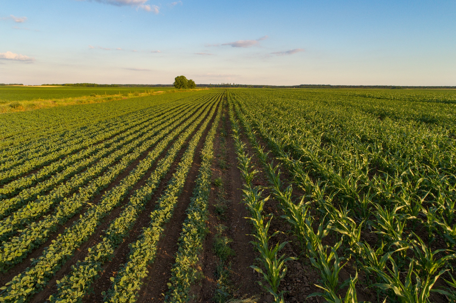 calculate-your-farmland-savings