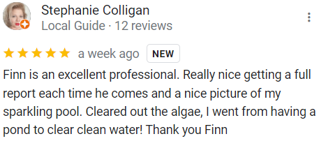 fintastic review 1