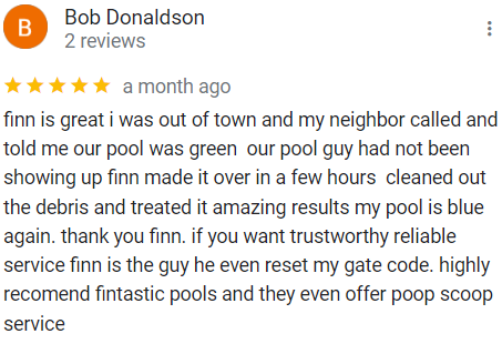 fintastic review 2