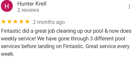 fintastic review 3