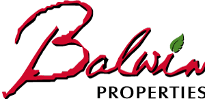 Vox Balwin Fibre