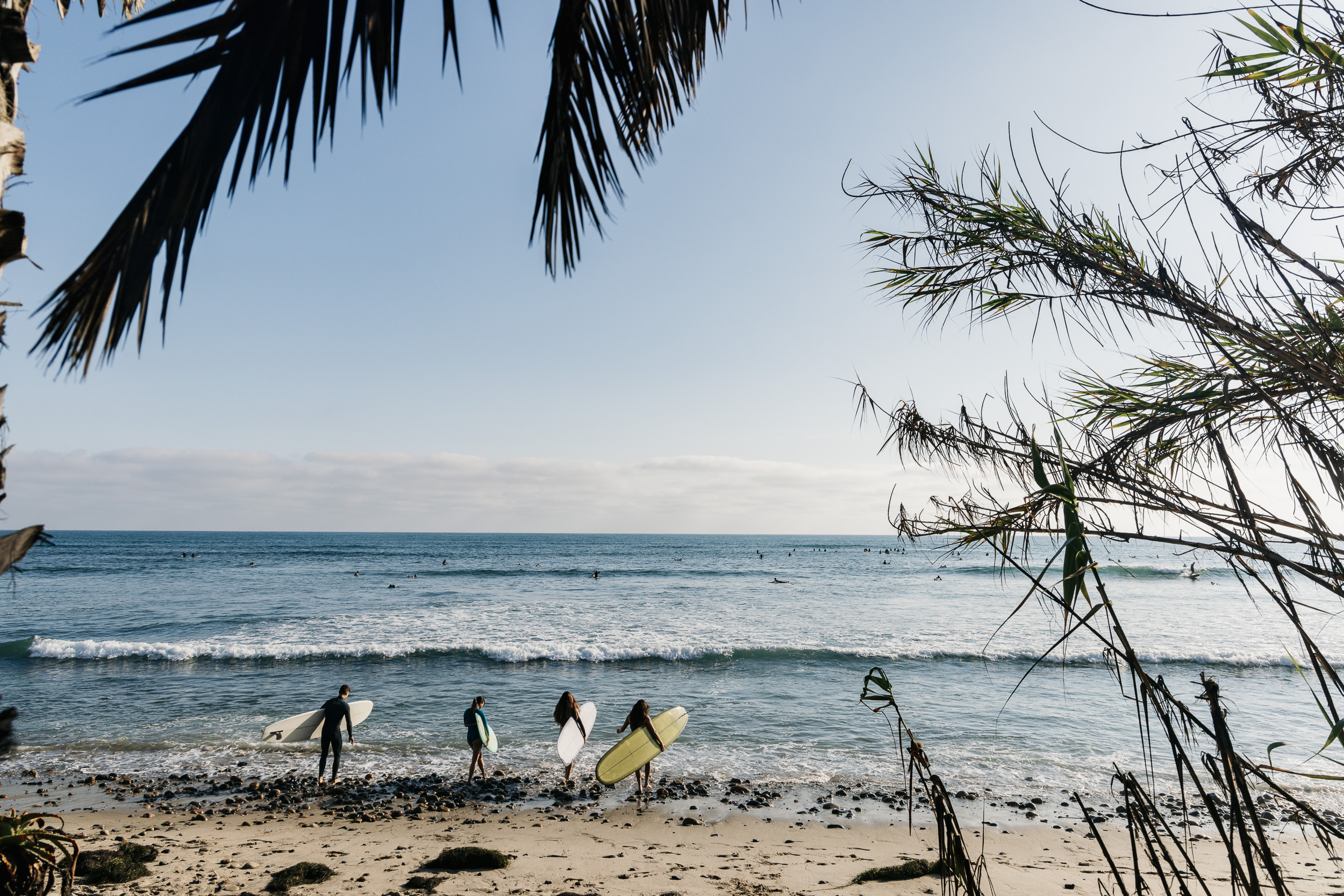 Surfline Scripps - uv2u9hg