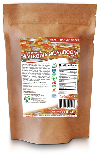 Antrodia mushroom pouch