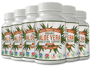 Aloe-Vera-powder-6X