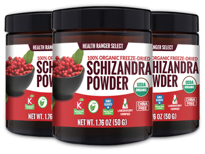 Schizandra-Powder