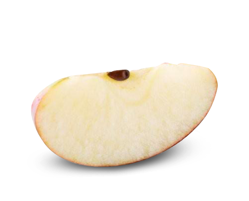 apple slice