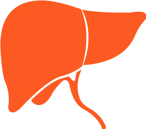 liver icon