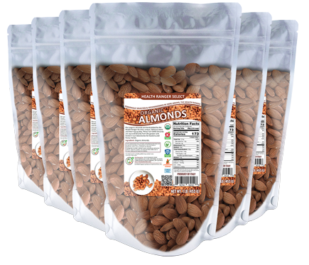 ORGANIC RAWX6 ALMOND