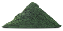 chlorella powder
