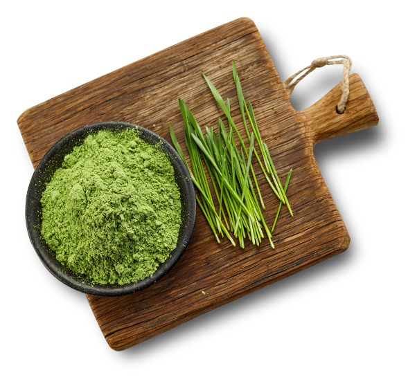 wheat grass + powder