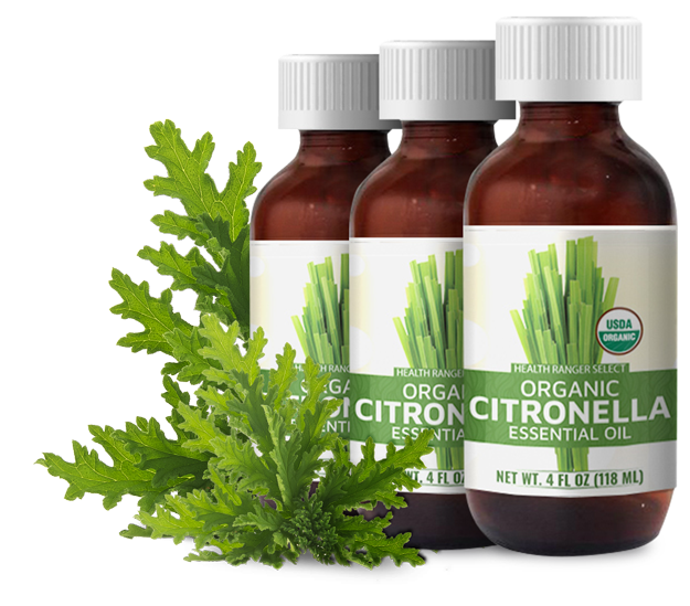 HEALTH RANGER SELECT CITRONELLA ESSENTIAL OIL