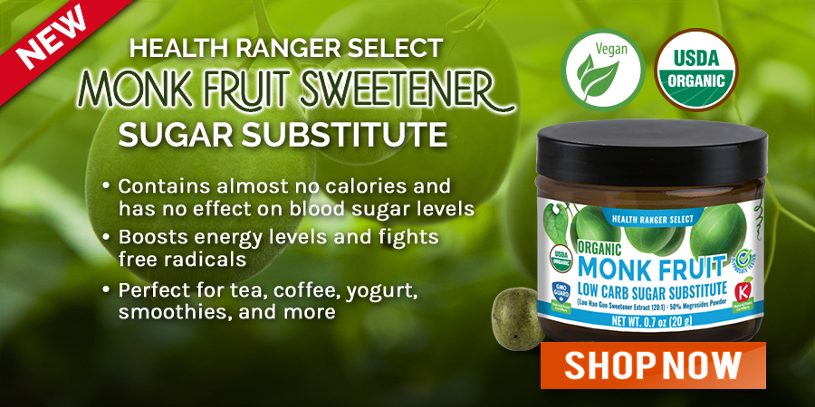 NOW Foods Monk Fruit Extract, Organic - 0.7 oz. Powder