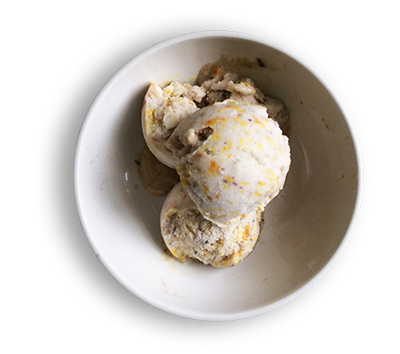 Home made Ice cream on plate