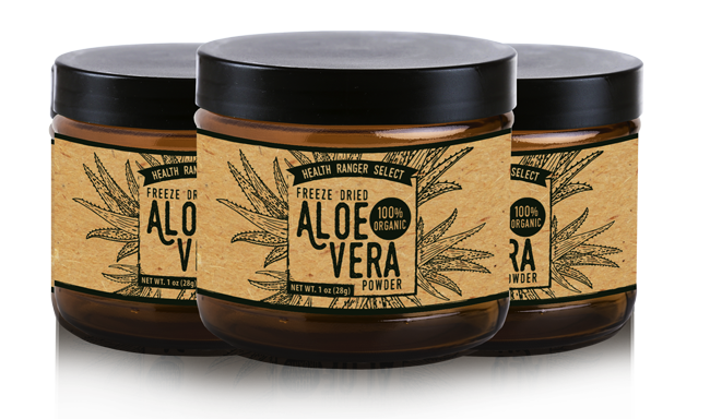 Health Ranger Select 100% Organic Freeze Dried Aloe Vera 200:1 Extract Powder 3 pck