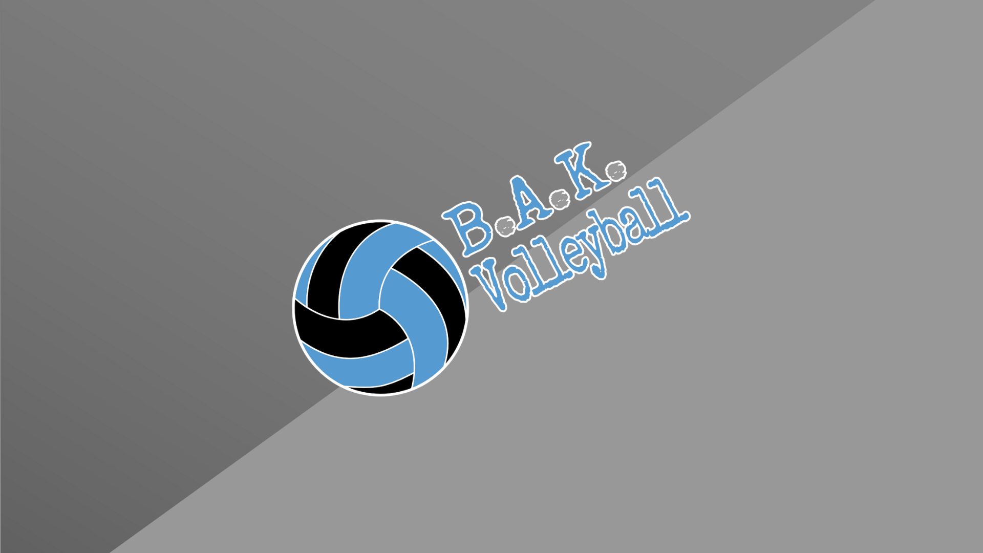 B.A.K. Volleyball BSN SPORTS Team Shops