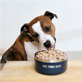 Dog eating raw food