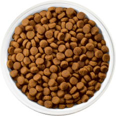 dog bowl of kibble