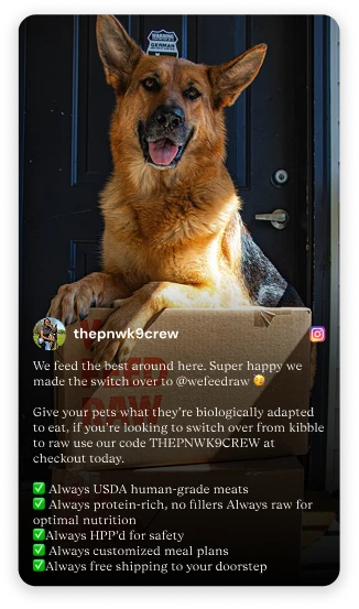 German Shepherd sitting in a We Feed Raw box, excited for raw dog food delivery