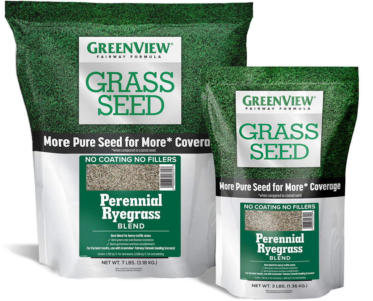 GreenView Perennial Ryegrass Blend