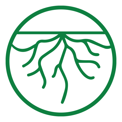 Roots Icon