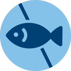 No Fishy Burps