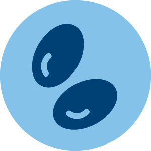 Highly Absorbable Omega-3s