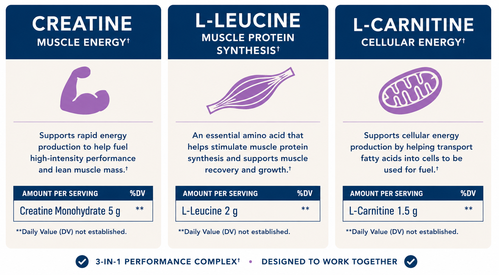 Diagram of the three ingredients: creatine, L-Leucine and L-Carnitine