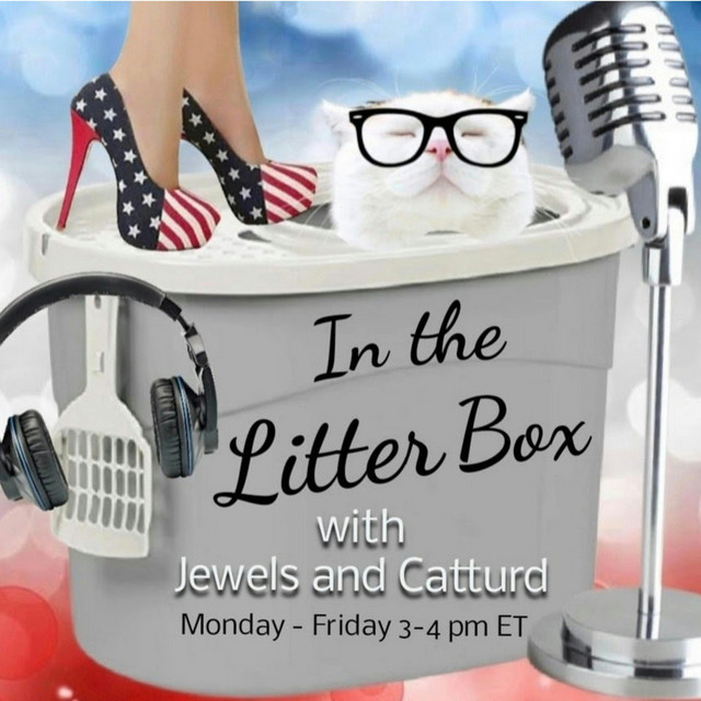 In the Litter Box with Jewels and Catturd — Monday through Friday, 3 to 4 pm ET