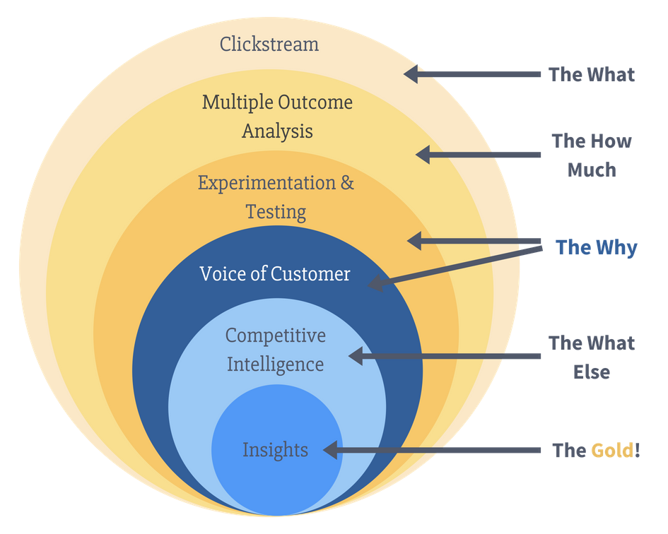 voice of customer case study