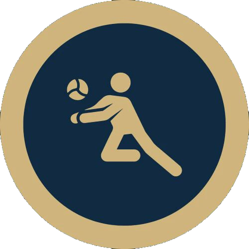 voley