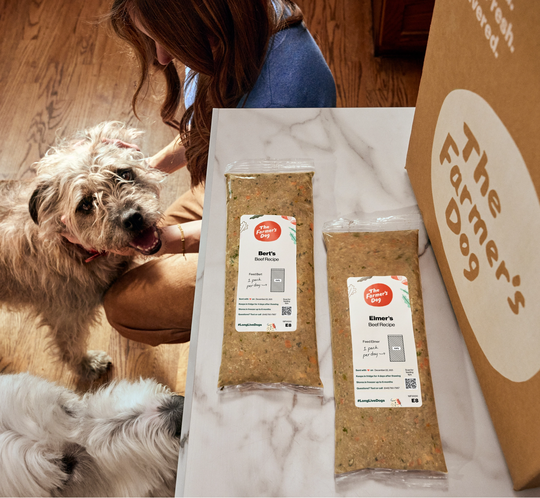 Woman with long brown hair in blue shirt kneeling in modern kitchen, petting excited fluffy white Bert dog beside Farmer's Dog Beef recipe fresh food pouch and open shipping box on marble counter.
