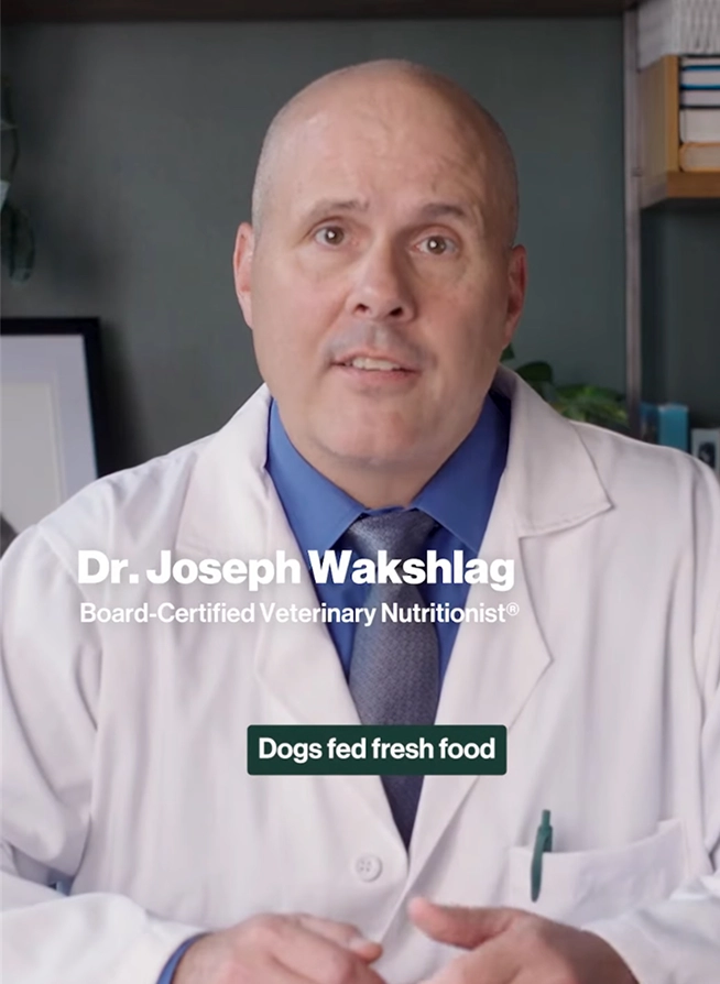 Video thumbnail of Dr. Joseph Wakshlag, board-certified veterinary nutritionist, smiling and sitting at a wooden desk in a white lab coat with stethoscope, in front of bookshelves, plants, dog portrait, laptop, and Farmer&amp;#39;s Dog orange logo badge; 2:12 duration overlay.