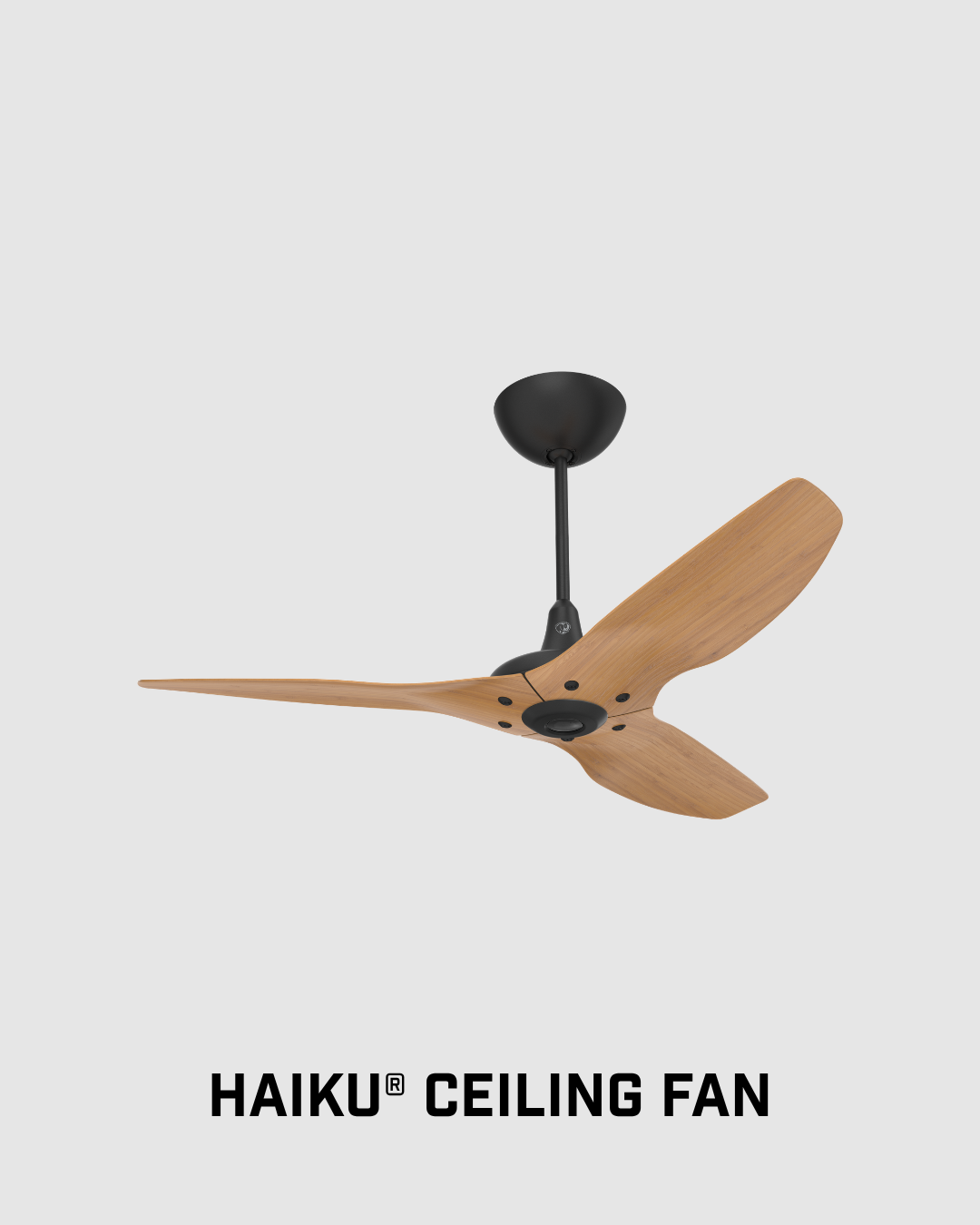 Haiku Ceiling Fan