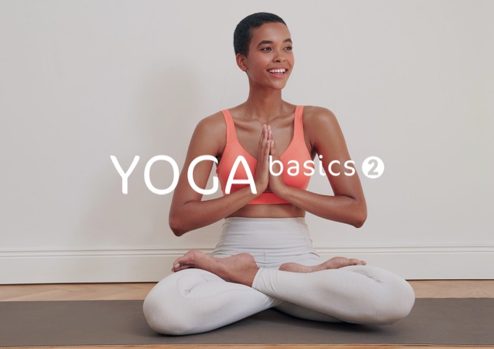 Yoga Basics 2