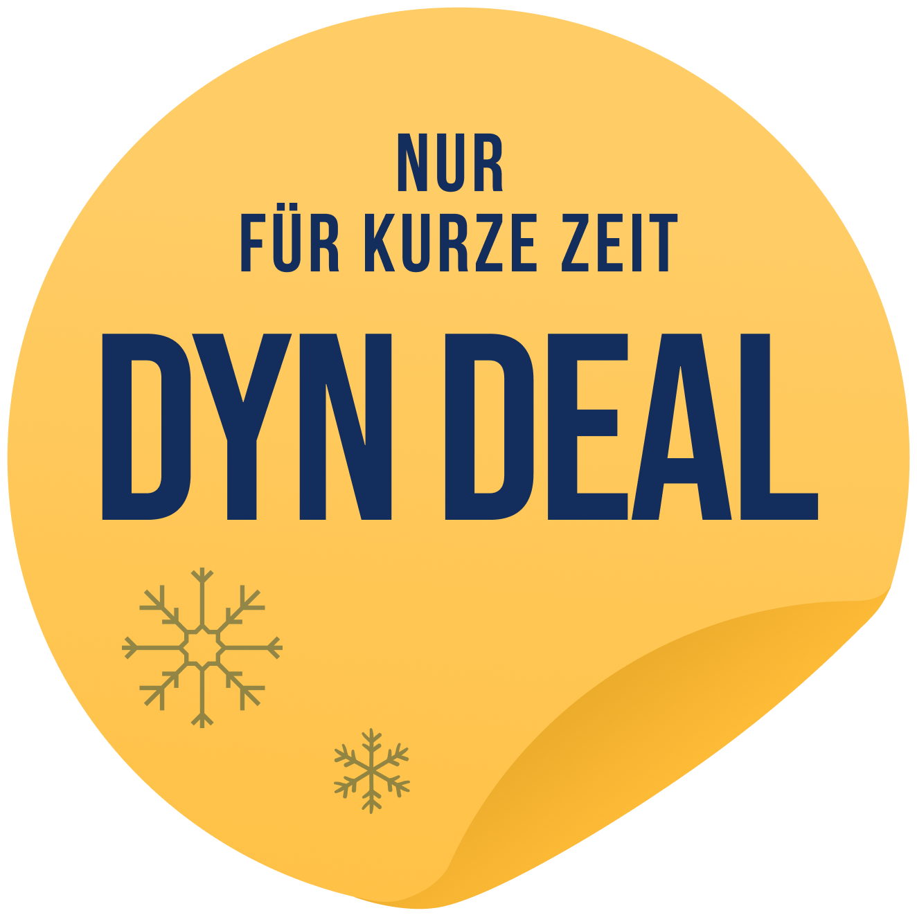 30% aufs Monatsabo bei Dyn Volleyball