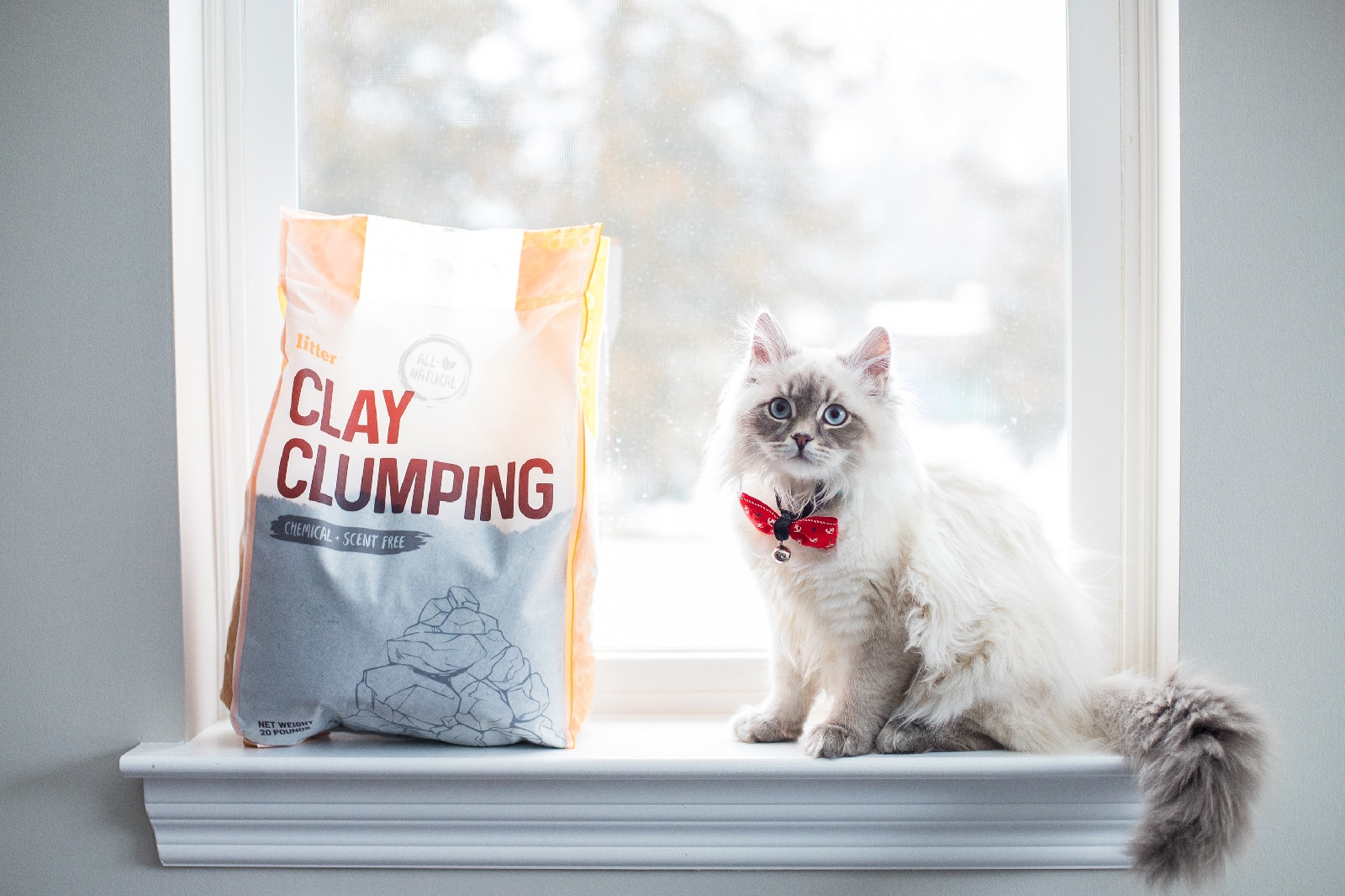 Premium Cat Litter Subscription