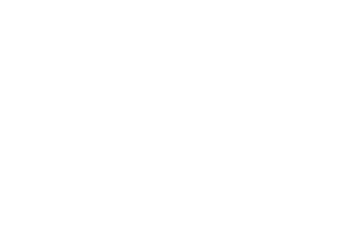 logo passaniti training