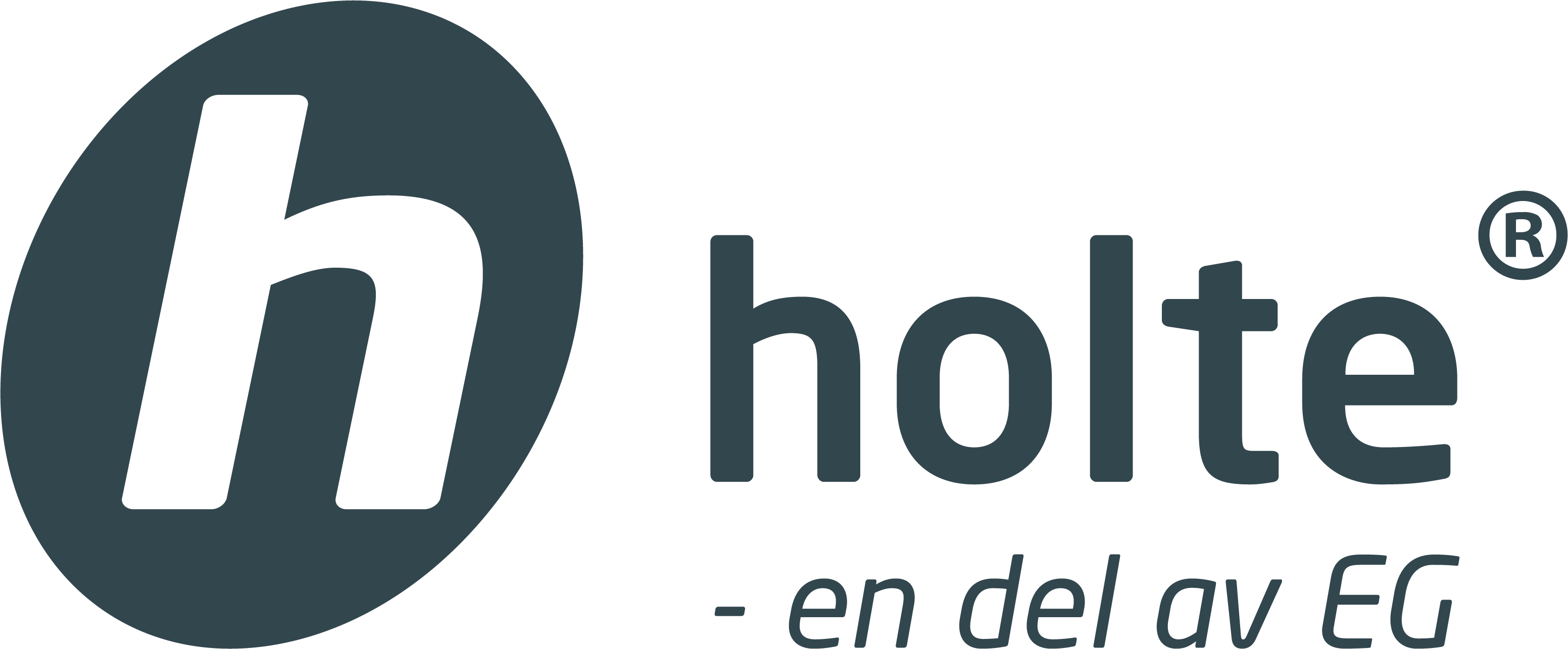 Holte logo