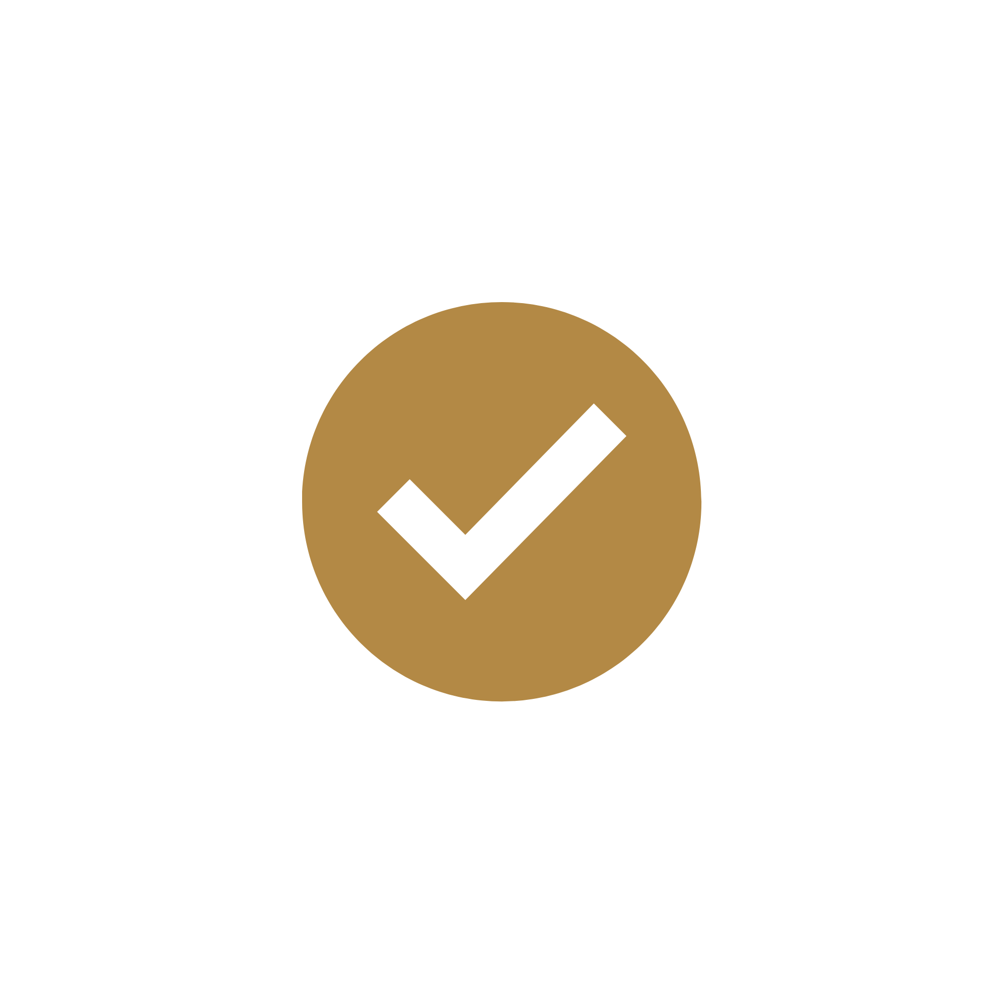 Check Mark Icon