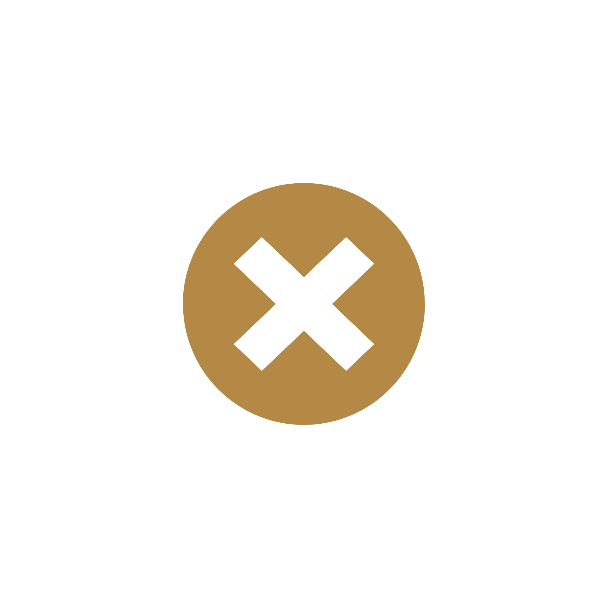X Mark Icon