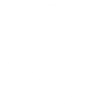 Check Mark Icon