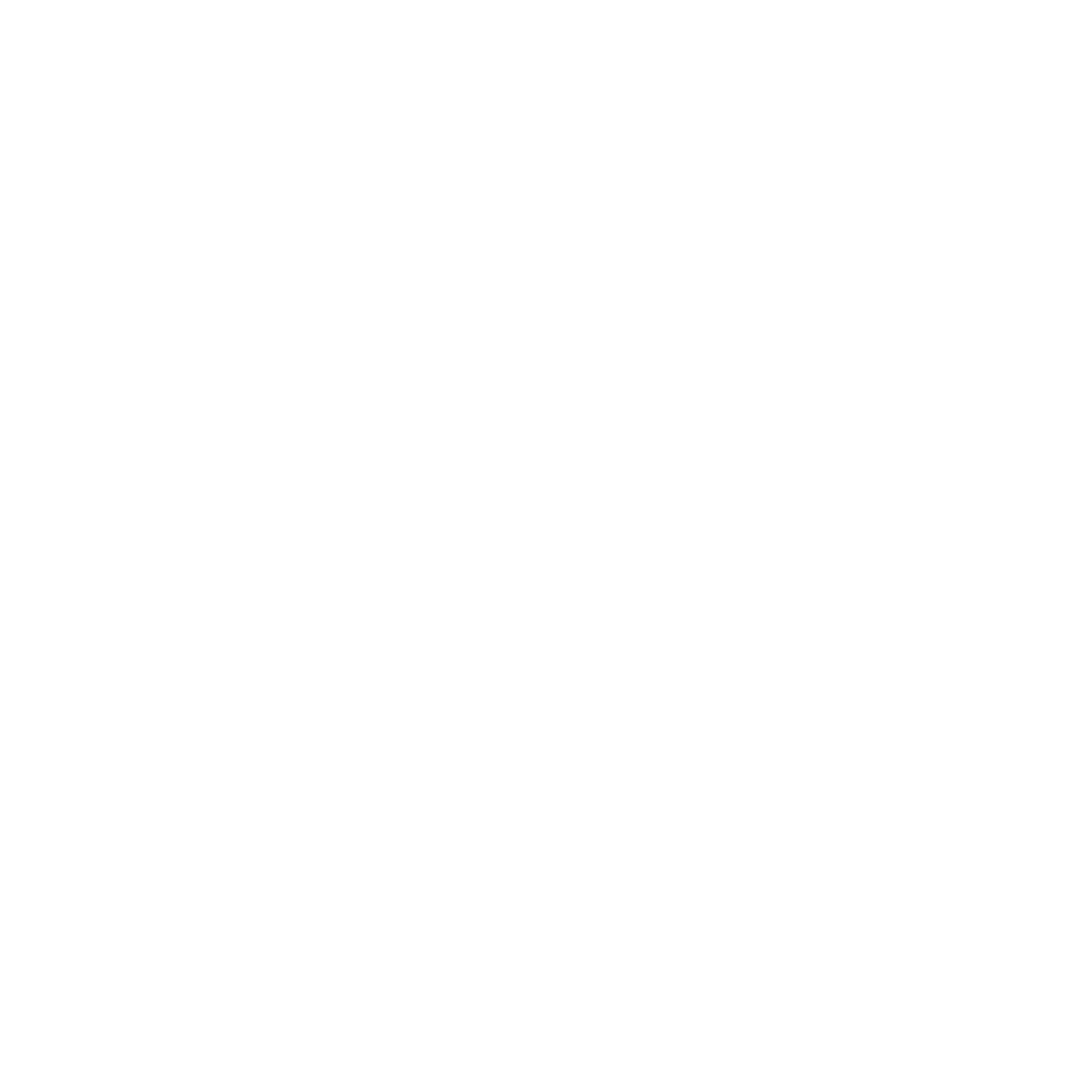 X Mark Icon