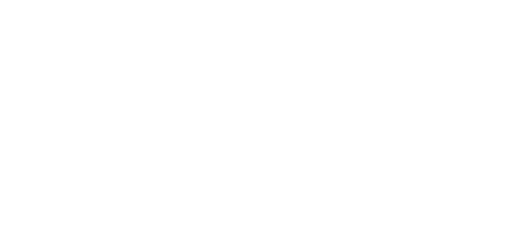 Pleora_Logo